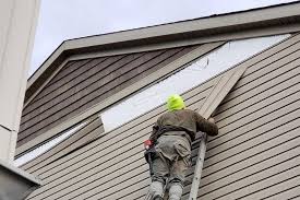 Best Storm Damage Siding Repair  in Appalachia, VA